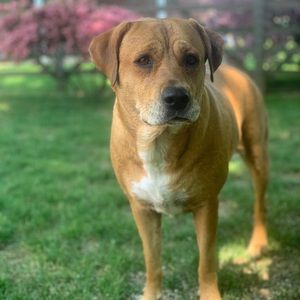 Meet your Posher, Cara